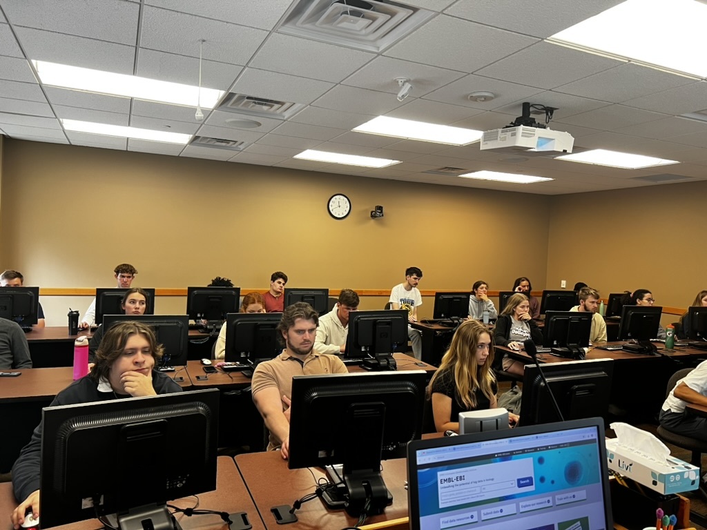 SD BRIN summer workshop 2024